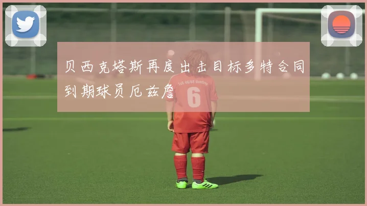 贝西克塔斯再度出击目标多特合同到期球员厄兹詹